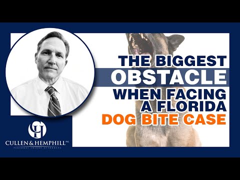 Biggest Obstacle To Success In A Florida Dog Bite Case