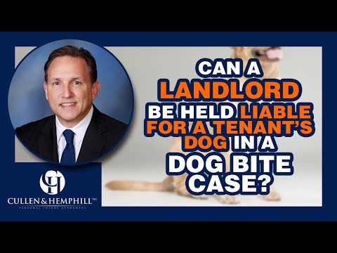 Can a Landlord be Held Liable for a Tenant’s Dog in a Florida Dog Bite Case?