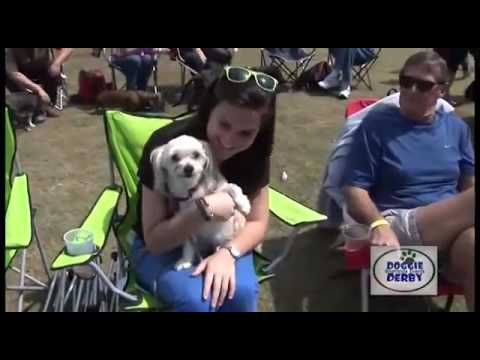 Cullen & Hemphill, PLC Baldwin Park Doggie Derby 2013